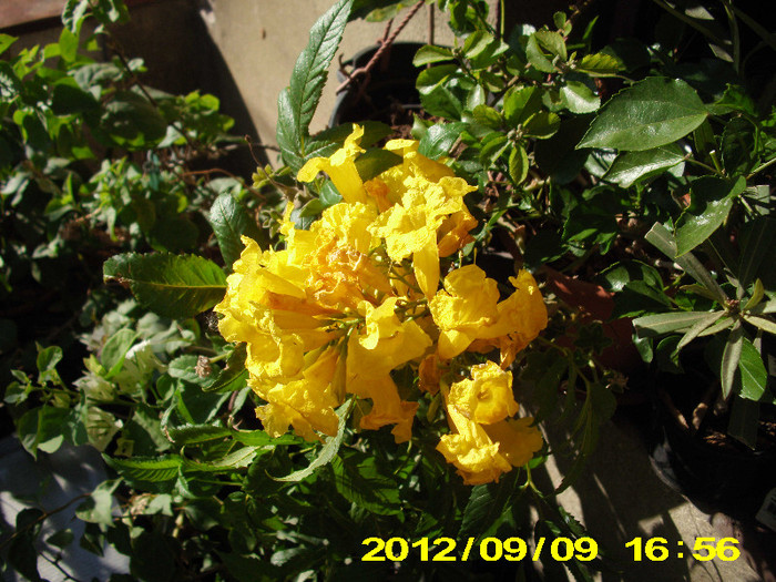 2012-07-08 317