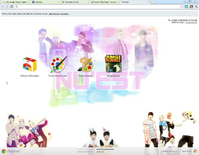  - o My Google Theme