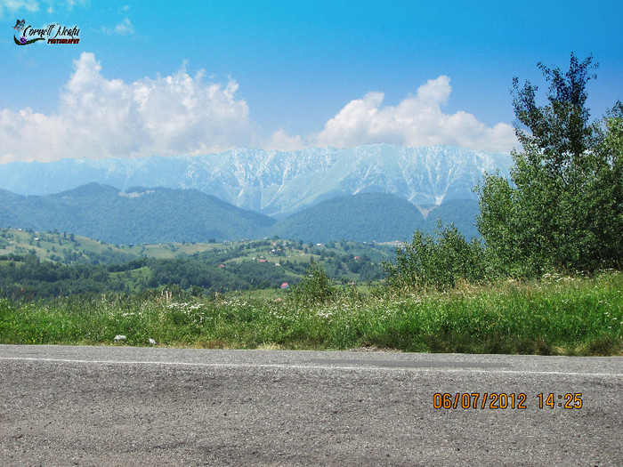 IMG_6119 copy copy - bucegi 2012