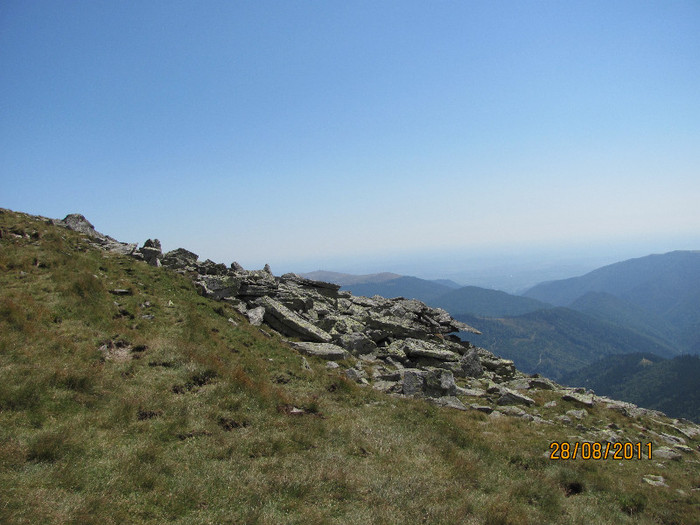 IMG_3916 - transalpina