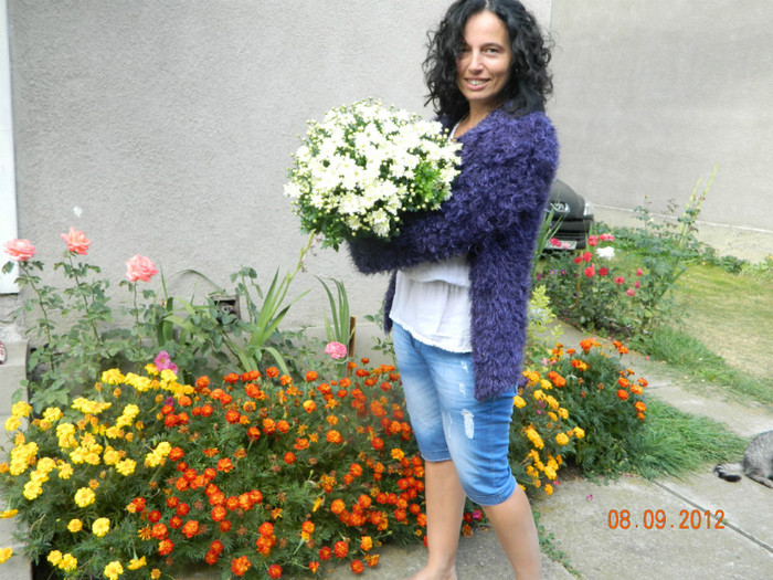Ia-am adus si mamei crizanteme ... - 2012 flori