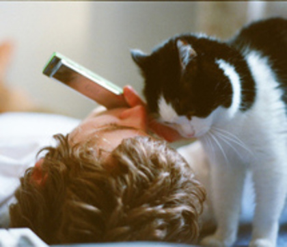 bed-boy-cat-guy-494063