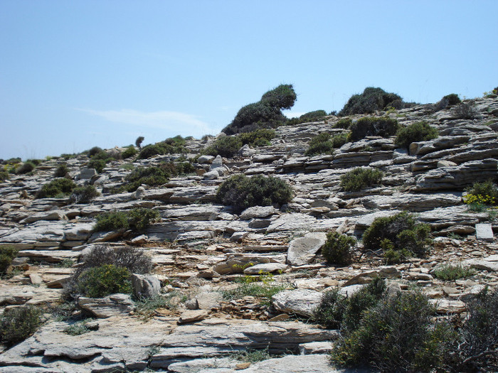 DSC02311 - 2012 THASSOS IUNIE
