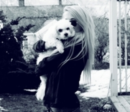 bikini-black-black-and-white-blonde-487180