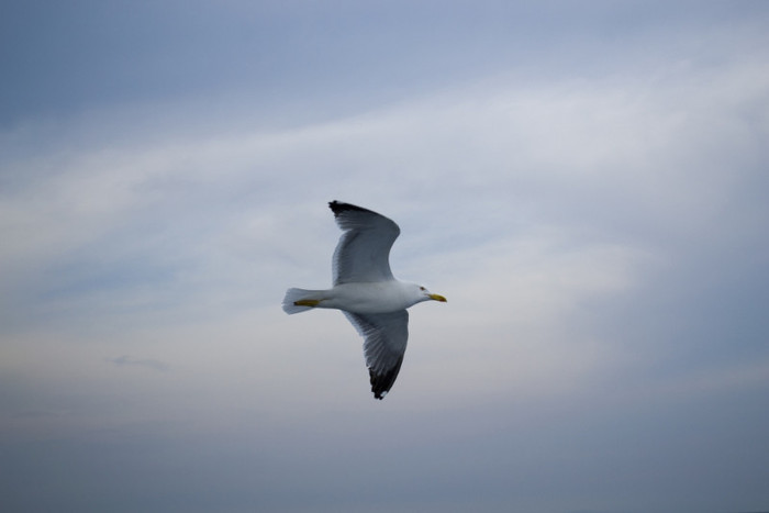 Vacanta-7269_1024x683 - 2012 THASSOS IUNIE