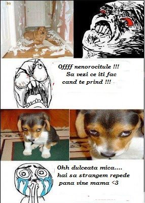 375039_385393624825828_282013755_n