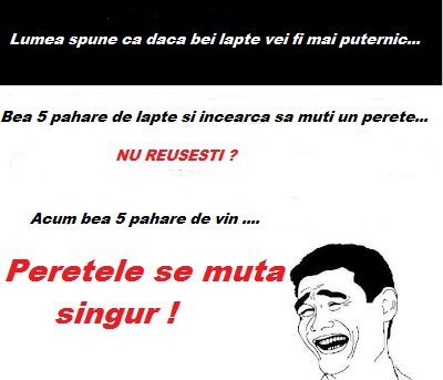 536447_388252177873306_1389146667_n