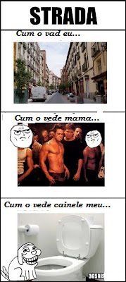 538959_386043281427529_1979907030_n