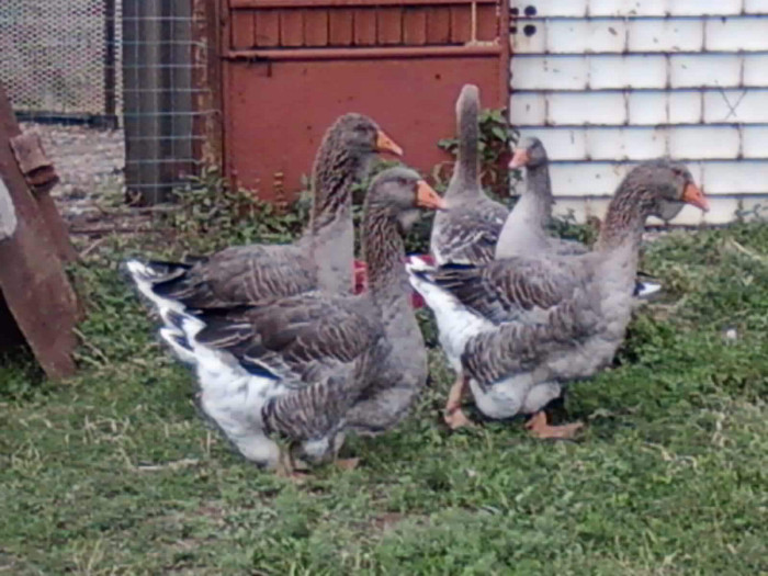 Photo0486