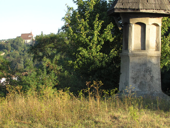 Sighisoara - Contact-Sighisoara