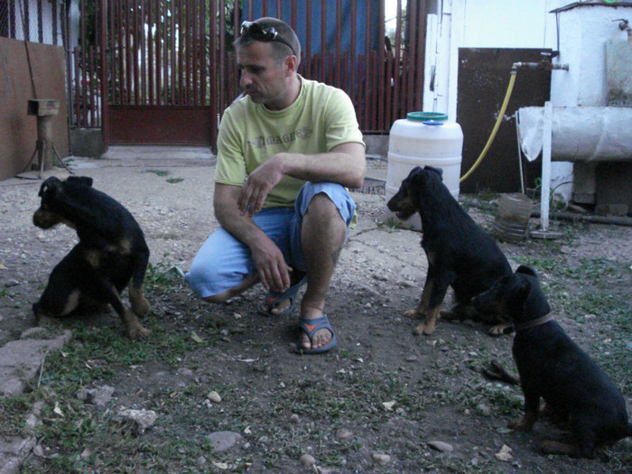 o parte din terrierii mei