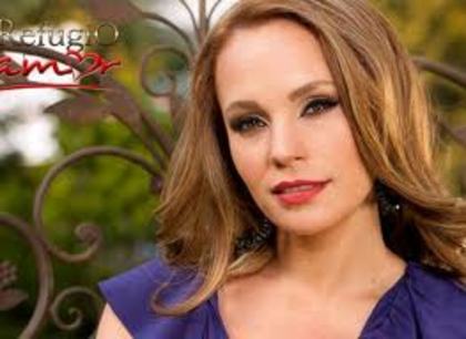 imagesCAY17Q8A - Un refugio para el amor-Refugiul