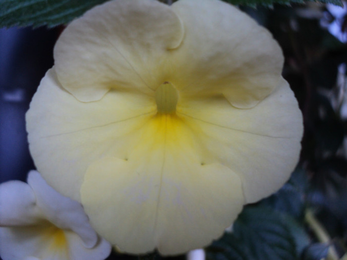 DSC04408