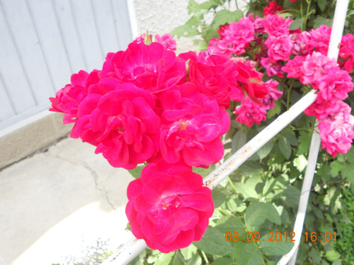 DSCN1940