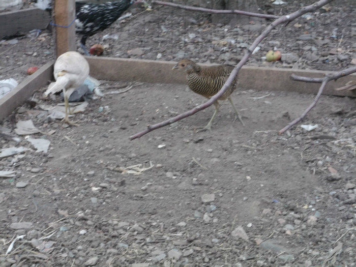Picture 5065