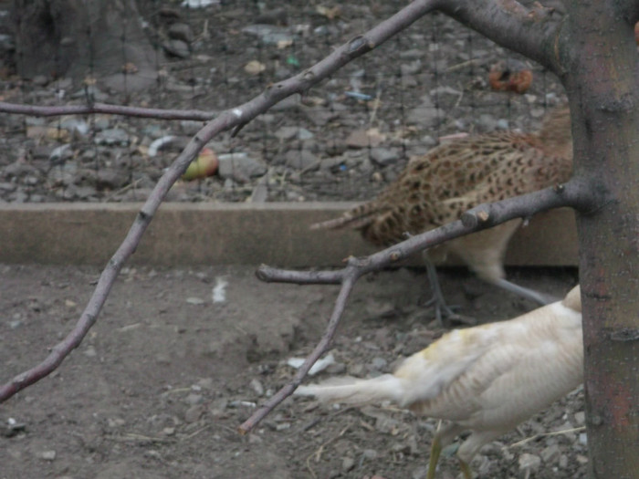 Picture 5067