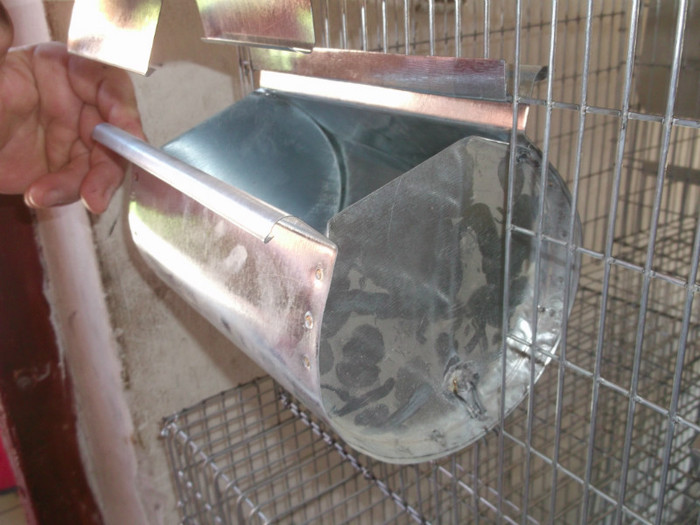 cusca iepuri..... - FERMA PATRAS BOBILECH TIGAU BISTRITA NASAUD