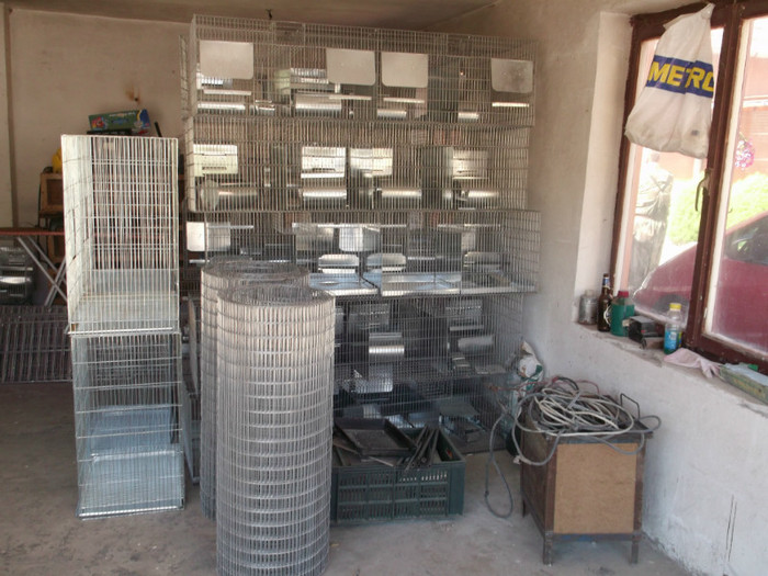 Picture 5173 - FERMA PATRAS BOBILECH TIGAU BISTRITA NASAUD