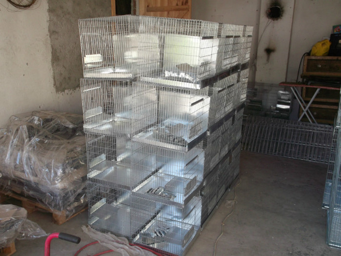 Picture 5174 - FERMA PATRAS BOBILECH TIGAU BISTRITA NASAUD