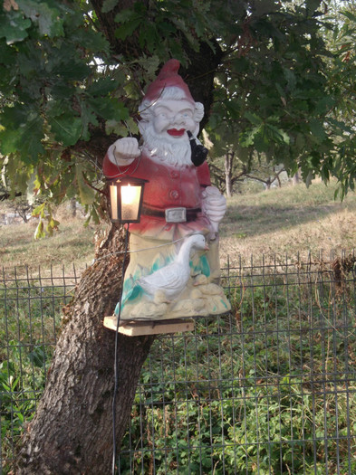 Picture 4702 - FERMA LEONTE 2011 VARA