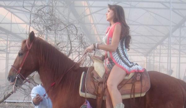 253127_230374997079747_143424252441489_396636_1605149422_n - Abismo de pasion-Abisul Pasiunii