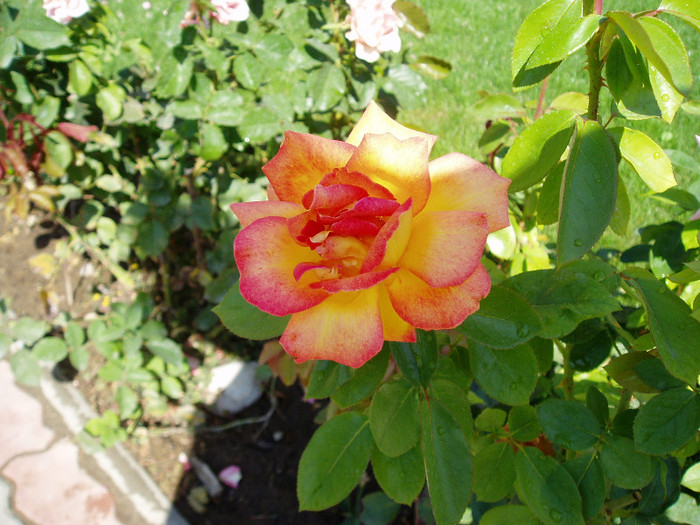 P1010776