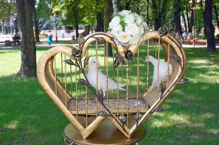 Accesorii-esentiale-pentru-lansarea-de-porumbei-la-nunta-18517-reg - Inchirez porumbei albi pentru nunti