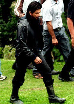 558310_426945660674794_166283203_n