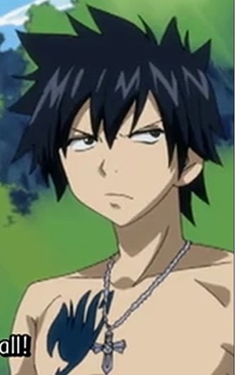 gray8 - poze cu Fairy Tail