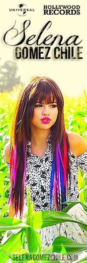 541381_294041880664548_289289648_n[1]