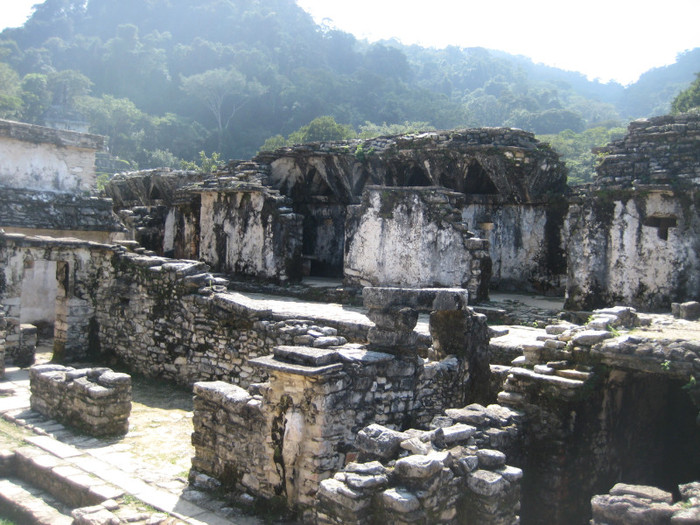 IMG_5055 - MEXIC IANUARIE 2012 PARTEA1