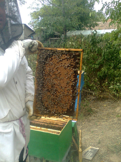 02491 - apicultura
