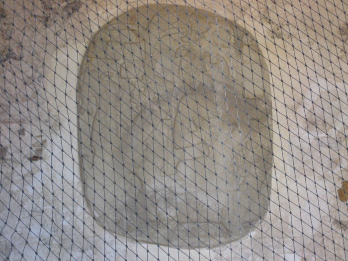 IMG_5061 - MEXIC IANUARIE 2012 PARTEA1