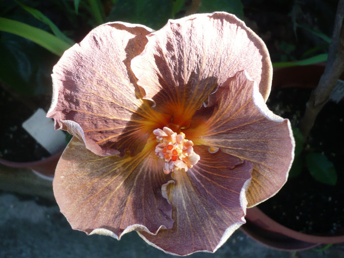 P1180333