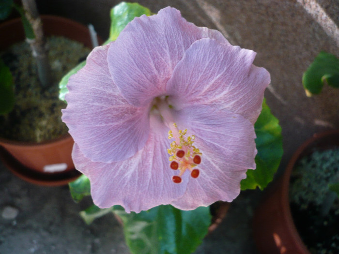 P1180339