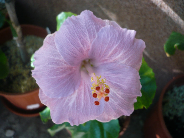 P1180340