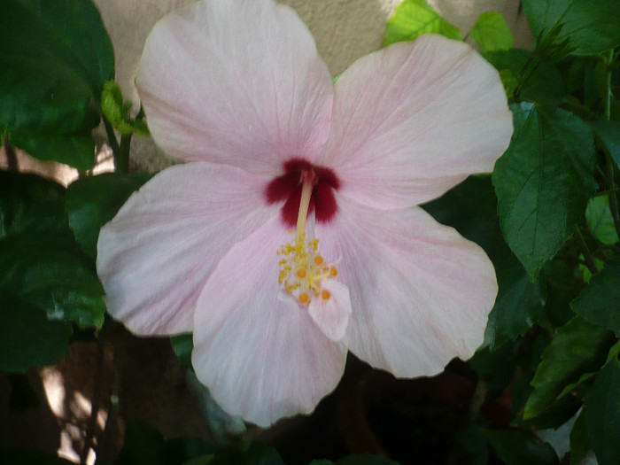 P1180344