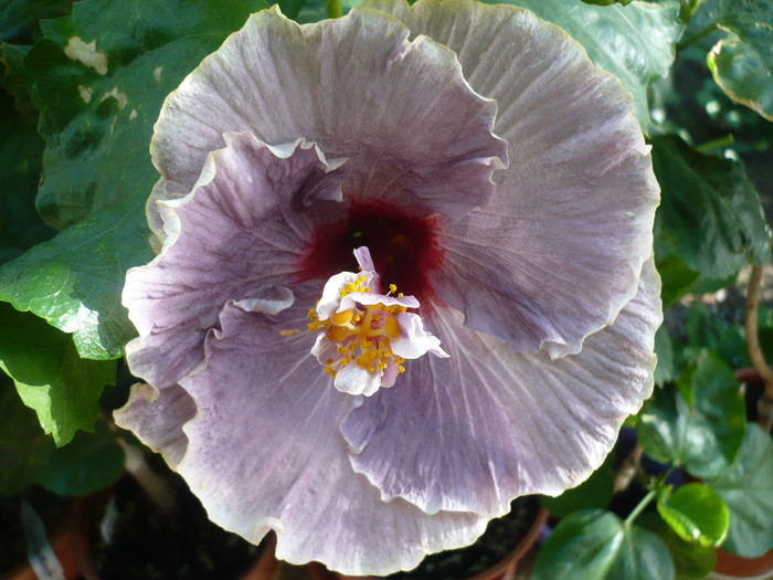 P1180347