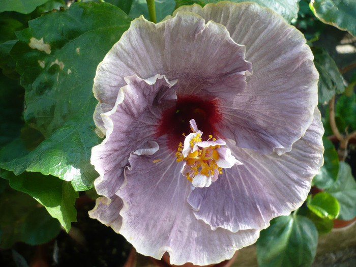 P1180348
