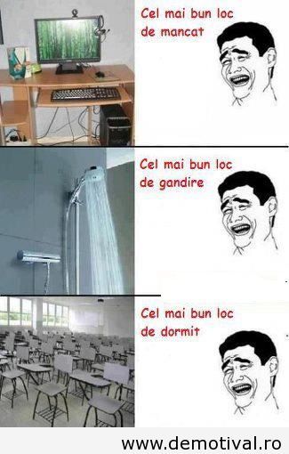 Cele-mai-bune-locuri - Poze funny-INTRA