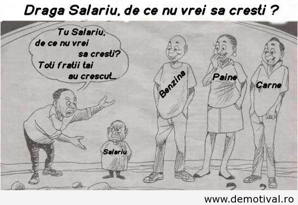 O-poza-pe-care-trebuie-sa-o-distribui-mai-departe