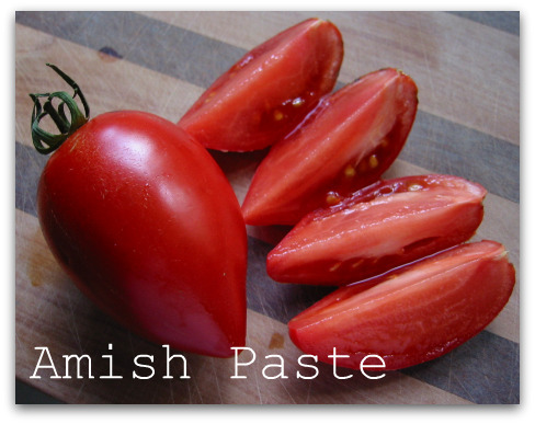 Amish_Paste