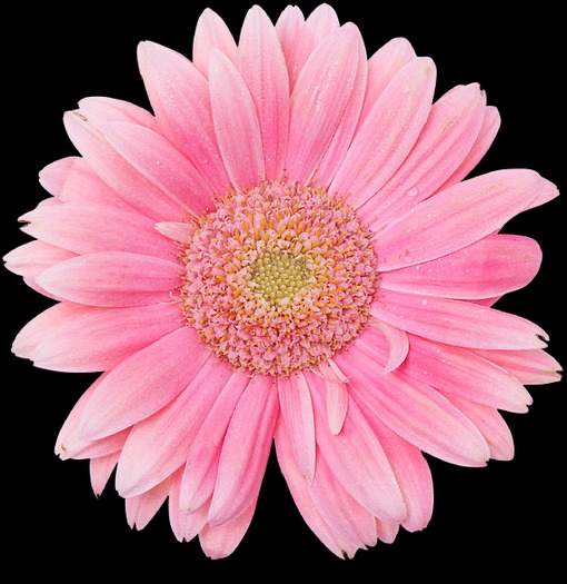 yelloewrwerw-7-8 (22)