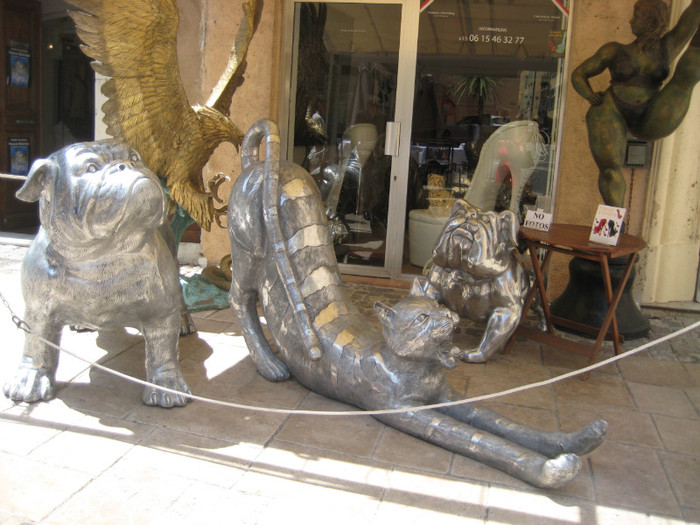 IMG_5774 - FRANTA IUNIE 2012