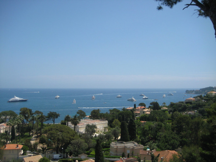 IMG_5808 - FRANTA IUNIE 2012