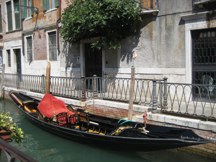IMG_5971 - ITALIA-VENETIA IULIE 2012