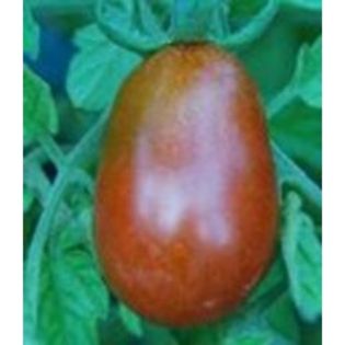 Cinnamon Pear