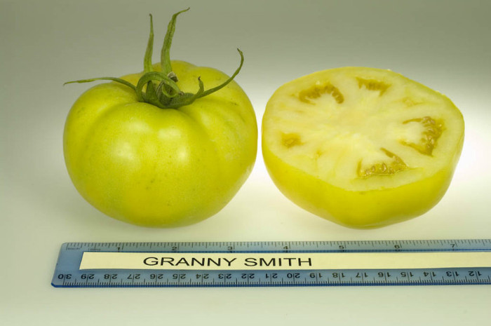 Granny_Smith-