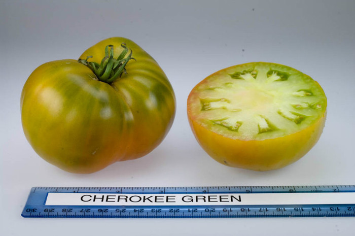 Cherokee_Green-