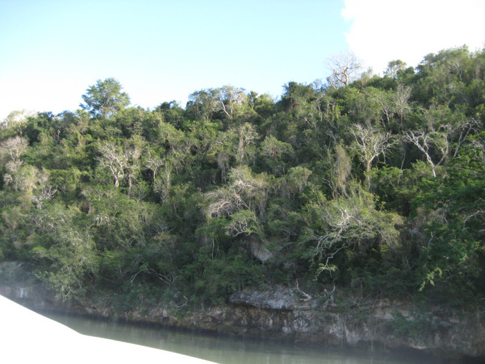 IMG_4220 - REPUBLICA DOMINICANA1- I-2011